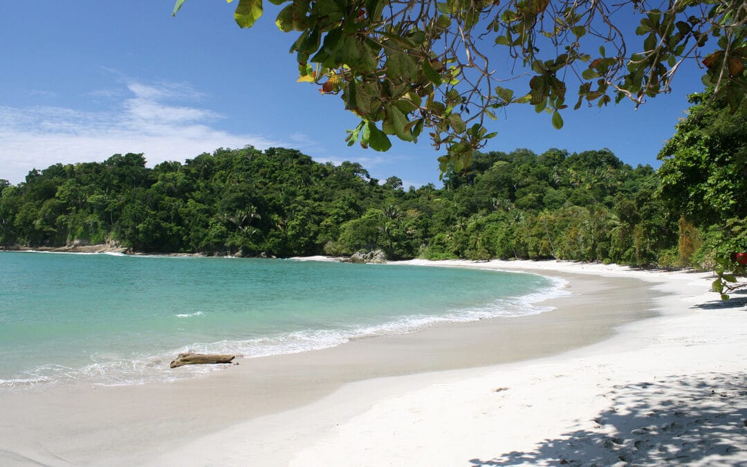 Tropical Beach