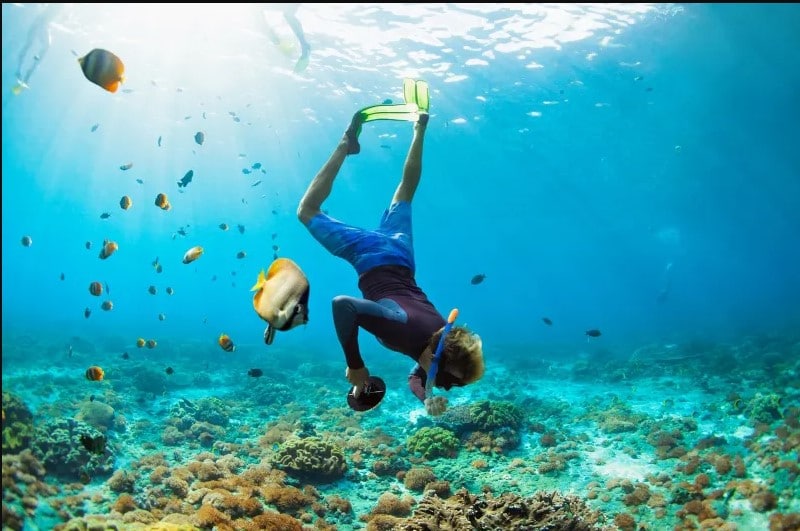 paquetes vacacionales todo incluido a playas mexicanas 2022, viajes todo incluido 2x1, hoteles todo incluido riviera maya, viajes a la playa todo incluido baratos, hoteles todo incluido mazatlán, hoteles todo incluido económicos, hoteles todo incluido en guayabitos, paquetes vacacionales familiares todo incluido, astuto travel