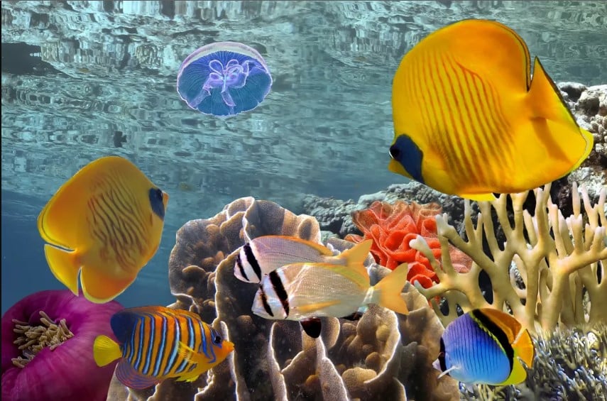 viajes a puerto vallarta todo incluido, paquetes a puerto vallarta todo incluido 2022, vacaciones en puerto vallarta película, viajes a puerto vallarta todo incluido en avión, hoteles en puerto vallarta todo incluido económicos, paquetes familiares puerto vallarta todo incluido, astuto travel